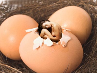 捐卵是什么意思 捐卵常识有哪些